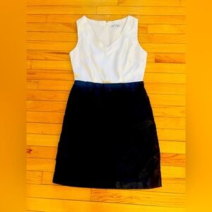 Banana Republic Dress Size 4